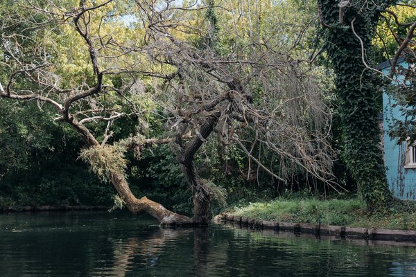 La caféine et le sommeil : ce que vous devez savoir